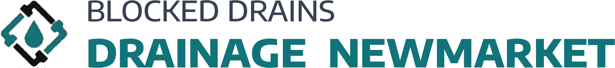 website logo